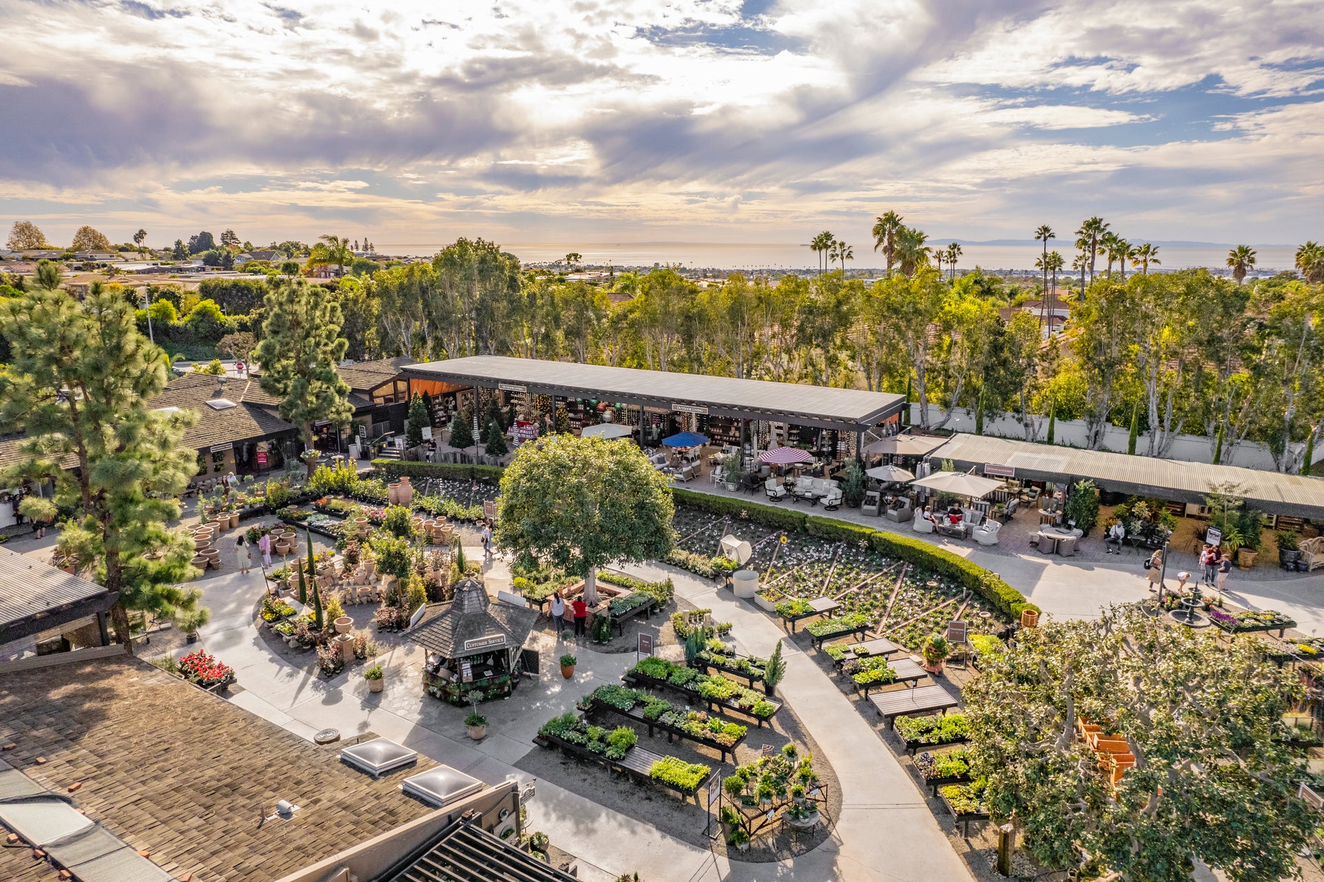 Cultivate Your Personal Paradise